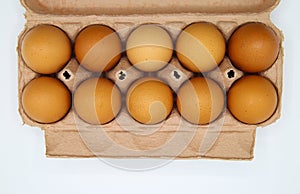 Top view on ten brown eggs in a row in carton box