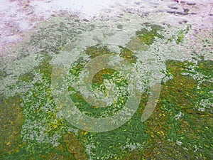 Top view texture of surface with grey ice covered in white snow.