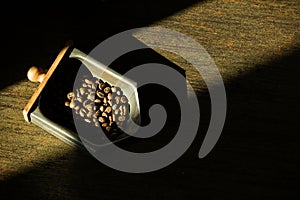Top view of three different varieties of coffee beans on dark b