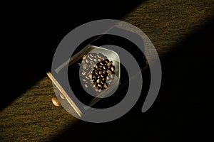 Top view of three different varieties of coffee beans on dark b