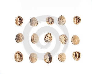Top view of three rows and five columns of walnuts or parts of walnut shells