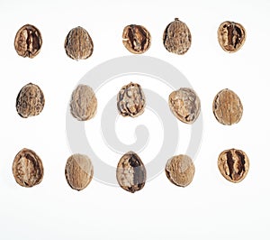 Top view of three rows and five columns of walnuts or parts of walnut shells