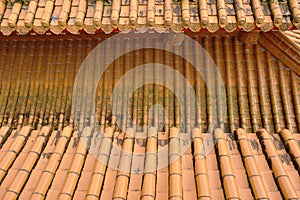 Top view of tile roof in Xuanguang Temple Taiwan