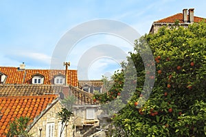 Top view of the tile roofs and the sea in the Italian style in Dubrovnik, Croatia