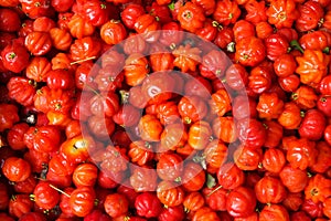 Top view to Pitanga fruit Eugenia uniflora photo