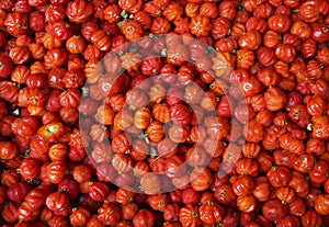 Top view to raw red Pitanga fruit Eugenia uniflora