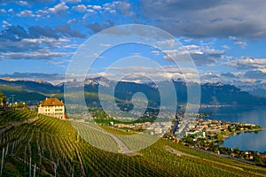 Top view to vineyards near Vevey at Geneva lake