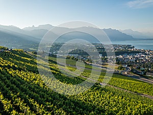 Top view to vineyards near Vevey at Geneva lake