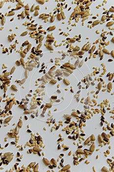 Top view of toasted mix of seeds - sunflower, lin and sesame see