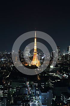 Top view of Tokyo cityscape at night