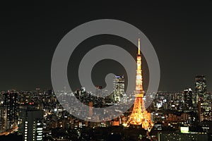 Top view of Tokyo cityscape at night