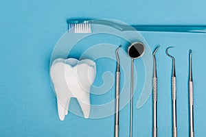 Top view of tooth model near toothbrush and dental tools on blue background.