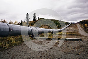 Top view of the trans-Alaska oil pipeline, emphasizing the patterns in the metal.