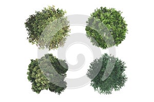 Top View of Trees