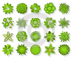 Top view trees and bushes. Aerial landscape elements. Forest and tropical tree, green park bush map icons look from photo