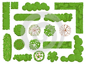 Top view trees and bushes. Forest tree, green park bush and plant map elements look from above isolated vector set