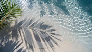 Top view of tropical leaf shadow on water surface. Shadow of palm leaves on white sand beach