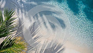 Top view of tropical leaf shadow on water surface. Shadow of palm leaves on white sand beach