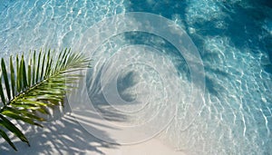 Top view of tropical leaf shadow on water surface. Shadow of palm leaves on white sand beach