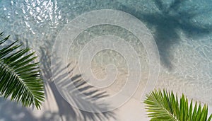 Top view of tropical leaf shadow on water surface. Shadow of palm leaves on white sand beach