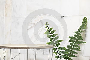 Top view tropical leaves on vibrant background. Summer flat lay composition.