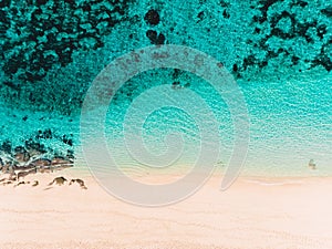 Top view of tropical sand beach with turquoise ocean water, aerial drone shot