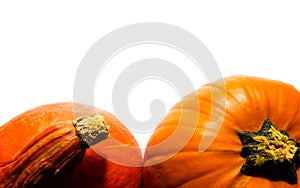 Top view on two orange pumpkins isolated on white background with copy space