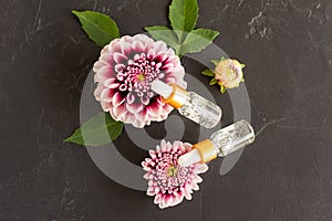 Top view of two transparent cosmetic bottles with a pipette and purple dahlia flowers. black background, green leaves. concept of