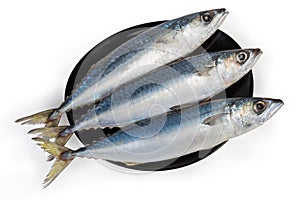 Top view of unfrozen chub mackerels on the black dish