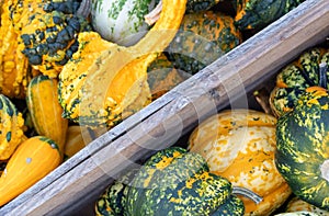 Top view of a variety of pumpkins stack