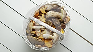 Top view of various wild mushrooms collected in wooden basket