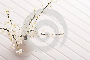 Top view on vase with cherry blossom