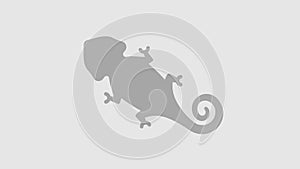 Top view of a veiled chameleon graphic animation. Alpha channel
