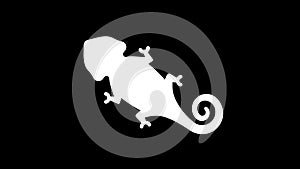 Top view of a veiled chameleon graphic animation. Alpha channel