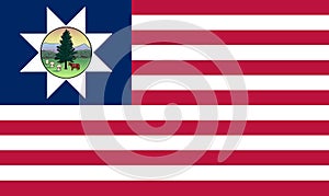 Top view of Vermont 1837 1923 , USA flag, no flagpole. Plane design layout. Flag background