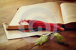 Top view of vintage open book and dry red flower. vintage filtered image