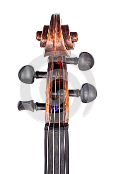 Top view of violin pegbox and pegs photo