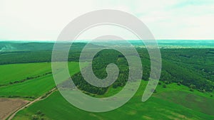 Top view of vivid green fields. Top view video from drone. Village enlaced by picturesque landscape. Copy space. 4K.