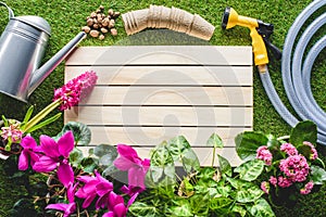 top view of watering can, flower pots, hosepipe and flowers on grass