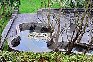 Top View On Well Cared Backyard With Patio And Pond