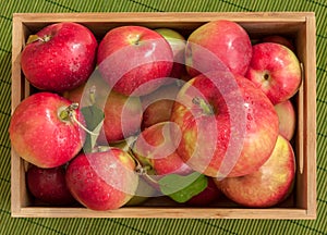 Top view of wet apples with water drops in a small bamboo crate on green background