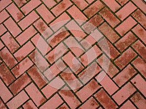 Top view of a wet pavement from tiles