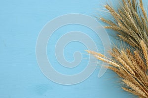 top view of wheat crop. Symbols of jewish holiday - Shavuot