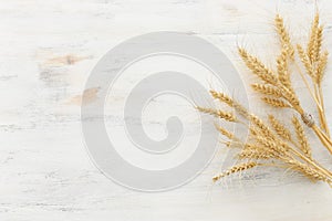 Top view of wheat crops over white wooden background. Symbols of jewish holiday - Shavuot photo