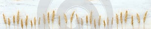 Top view of wheat crops over white wooden background. Symbols of jewish holiday - Shavuot