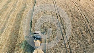 Top view of a wheat field with crops getting reaped