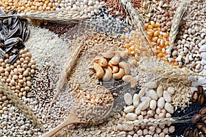 Top view of wheat seed pile in wooden spoon with some wheat ear on natural cereal and grain seed background