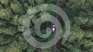 Top view of white car riding along road in green forest. Auto driving at rural route at summer day. SUV moving through