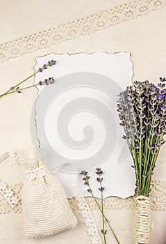 Top view of white empty sheet of paper with burned edges and surrounded by fresh lavender.