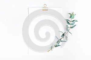 Top view of white notepaper with eucalyptus plant on worktable.minimalist style